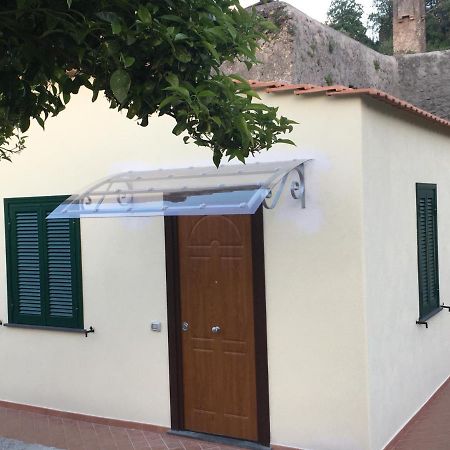 伊斯基亚La Finestra Sul Giardino公寓 外观 照片