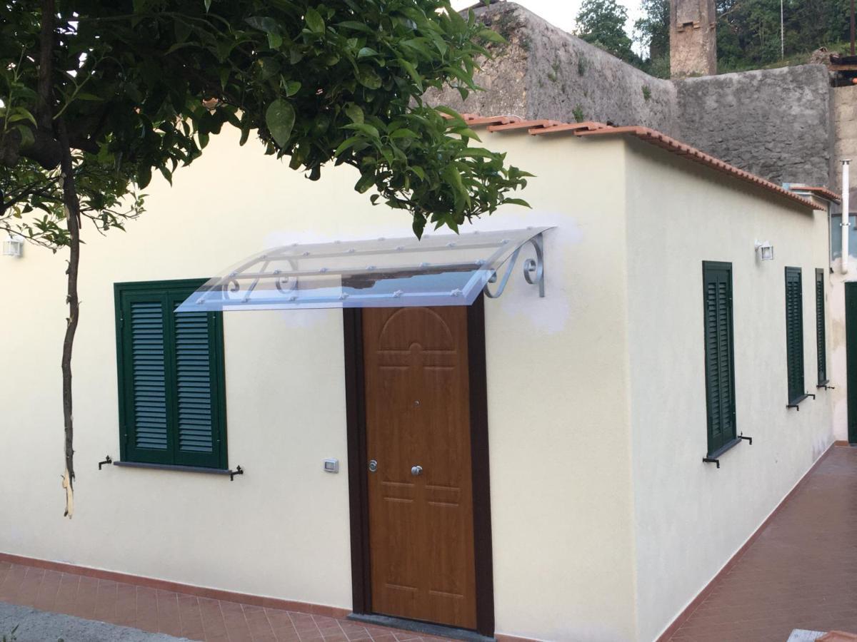 伊斯基亚La Finestra Sul Giardino公寓 外观 照片