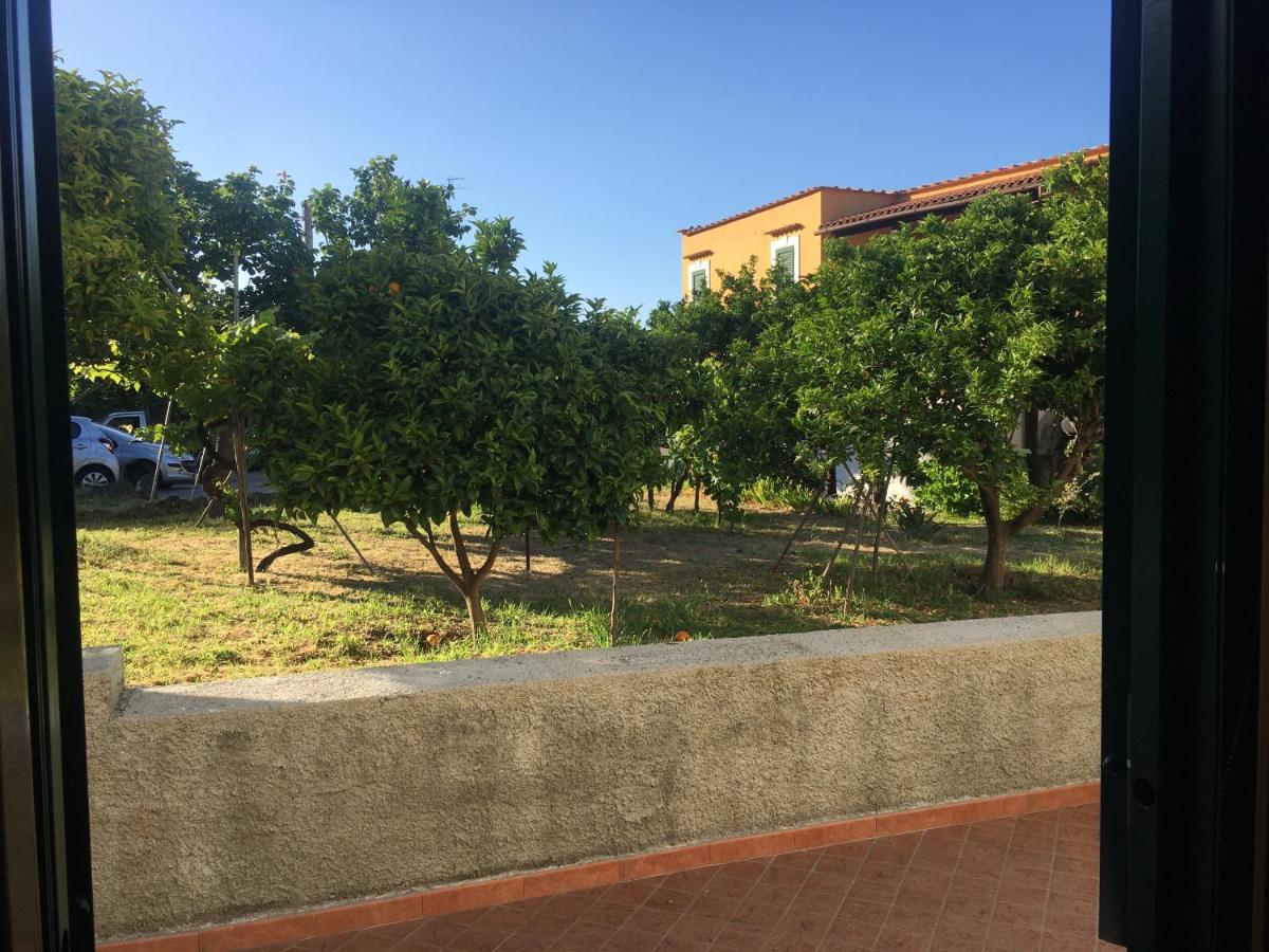 伊斯基亚La Finestra Sul Giardino公寓 外观 照片